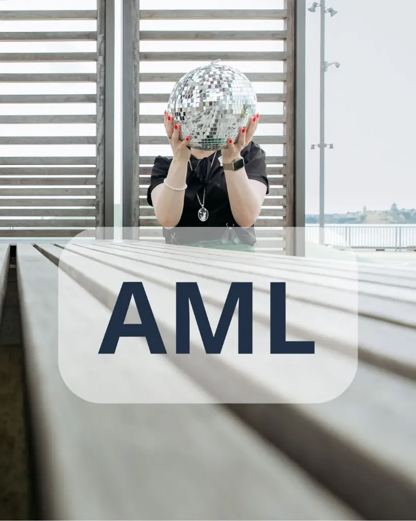 The Law Firm AML Policy Maker: An Integrated AI Skill